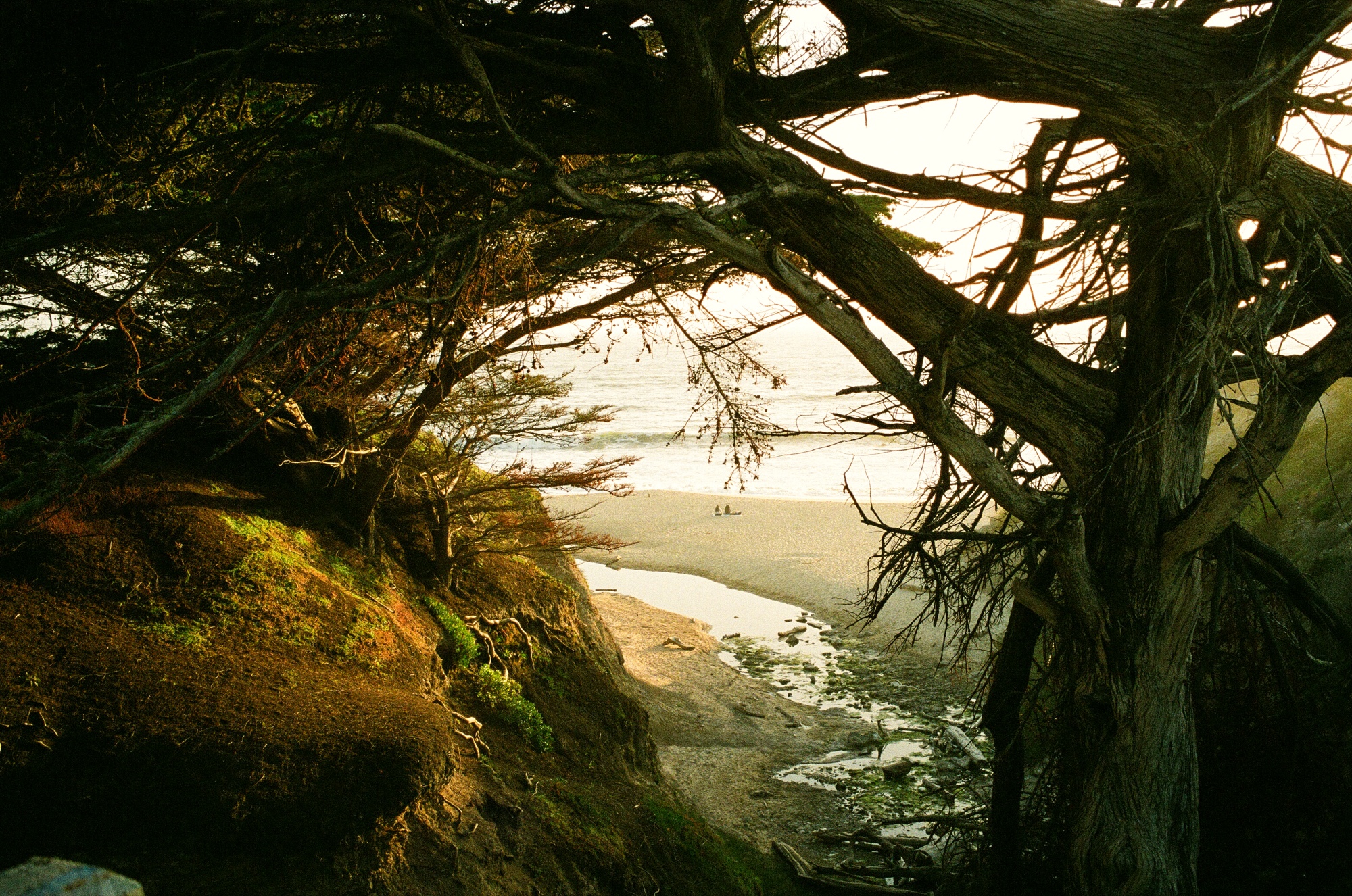 Half Moon Bay